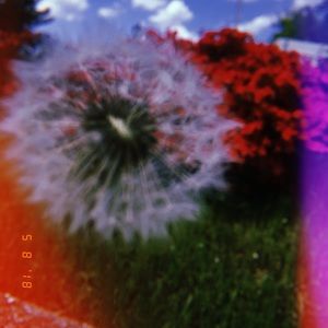 Meet your Posher, Addison